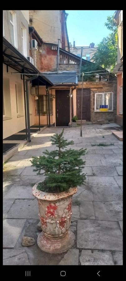 Александровский Odessa Eksteriør billede